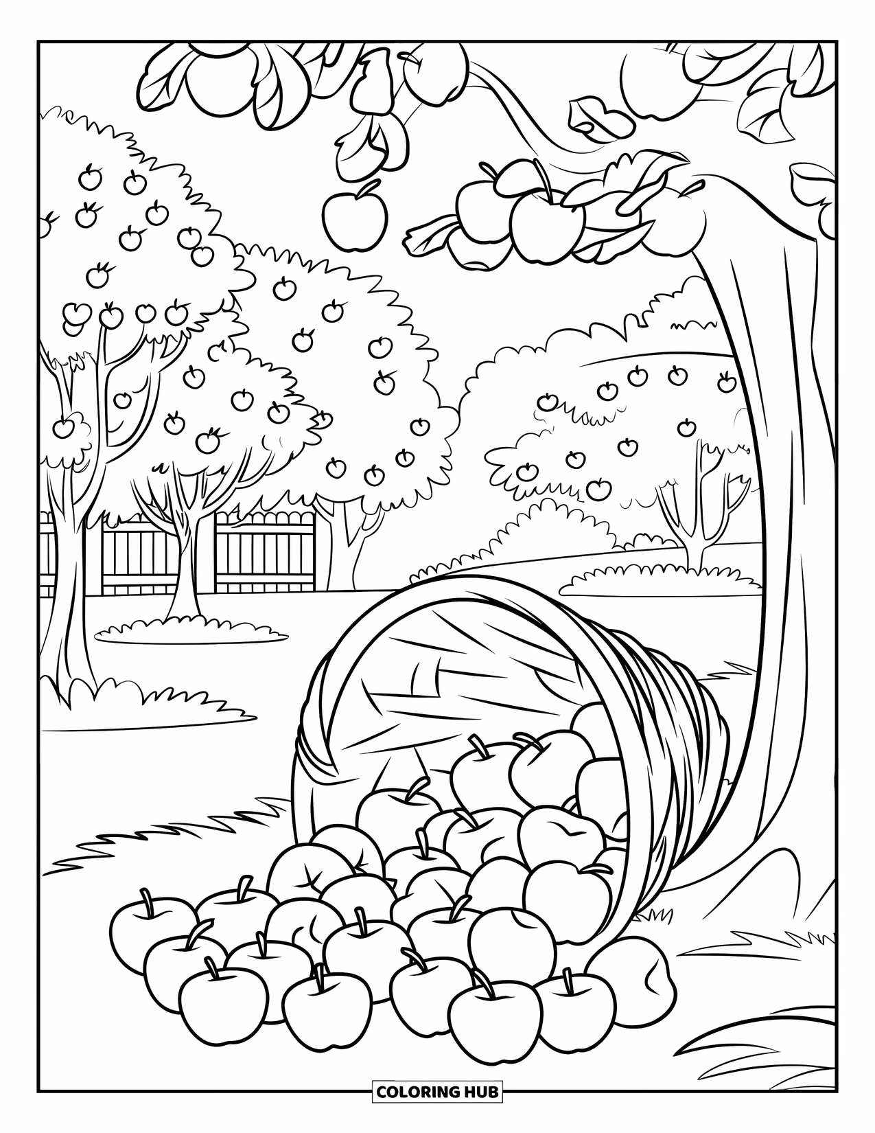 Apple Coloring Page for Kids: A basket of apples near a tree with apples in an autumn orchard