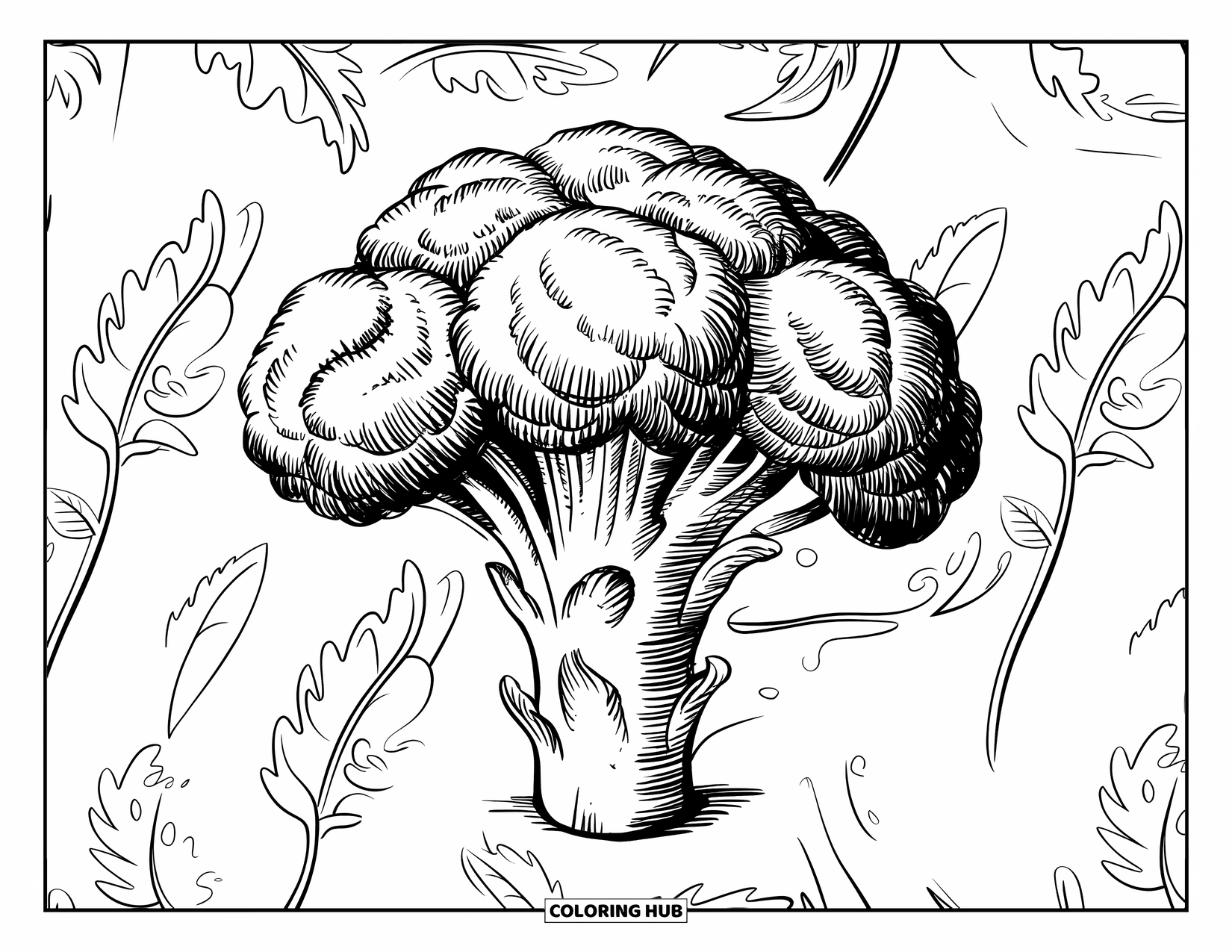 Broccoli Coloring Page for Adults: A close-up of a rustic broccoli illustration with leafy patterns in the background