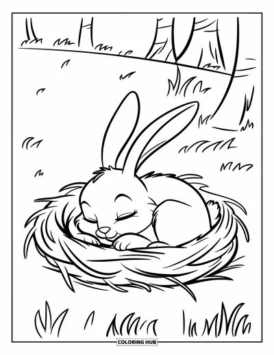 Haeschen-Ausmalbild für Kinder: Ein schlafender Hase rollt sich in einem kuscheligen Nest ein, umgeben von weichem Gras und Bäumen