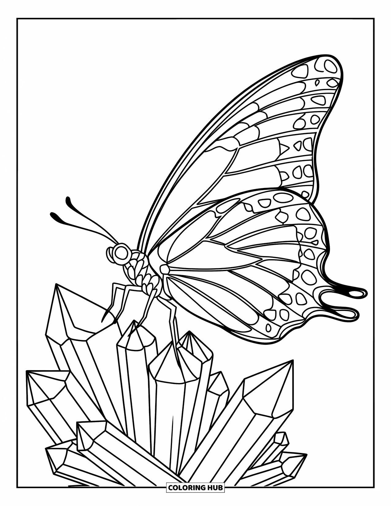 Desenho de Borboleta para Colorir para Adultos: Uma borboleta em um aglomerado de cristais, com designs simétricos e delicados nas asas e nos cristais