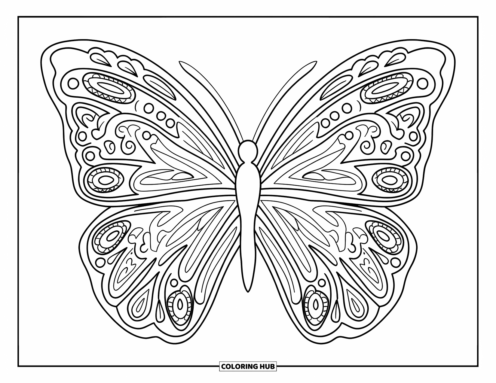 Desenho de Borboleta para Colorir para Adultos: Uma borboleta com asas labirínticas apresentando detalhes inspirados em paisley e mandala