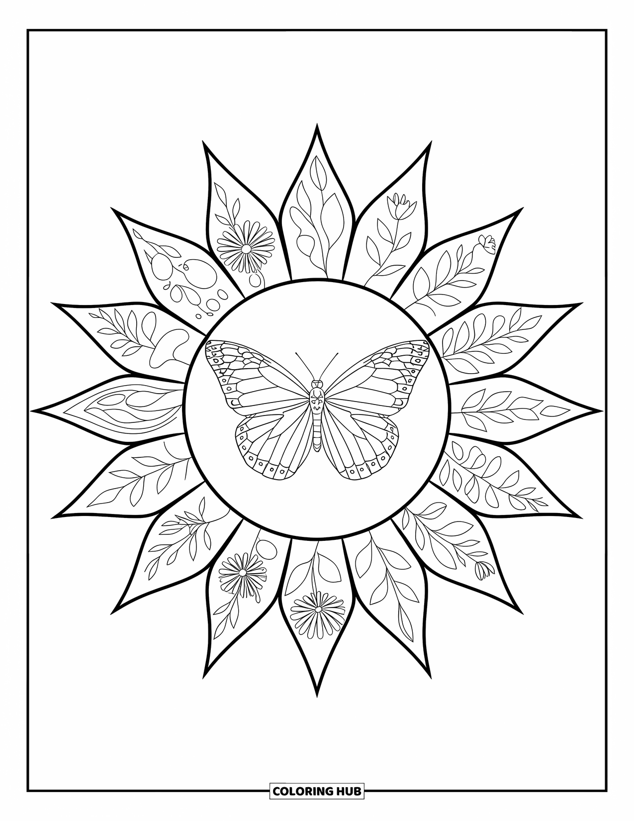Desenho de Borboleta para Colorir para Adultos: Uma borboleta dentro de um padrão de raio de sol, com detalhes de raios florais e abstratos