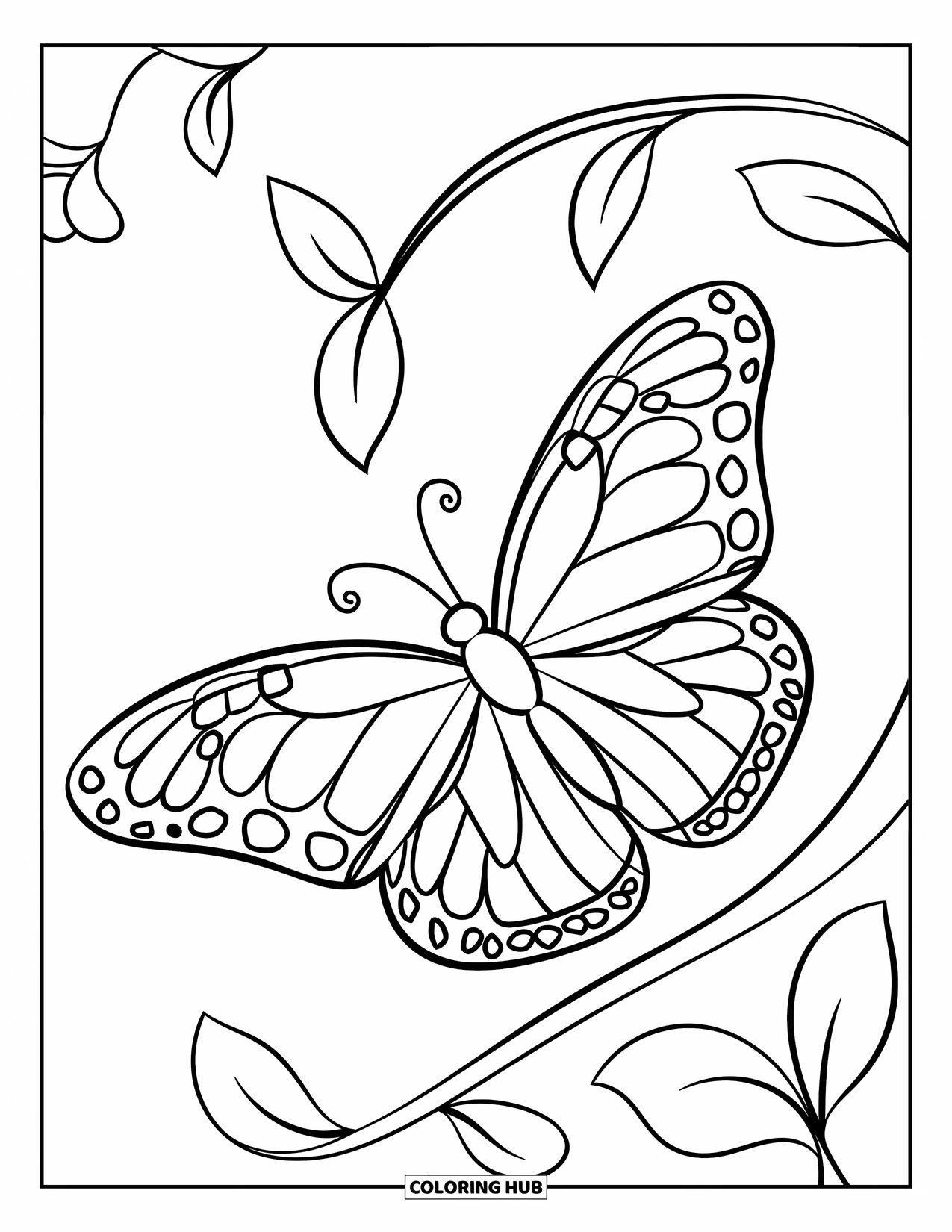 Desenho de Borboleta para Colorir para Crianças: Uma borboleta pousada em uma videira curva com contornos de pequenas folhas