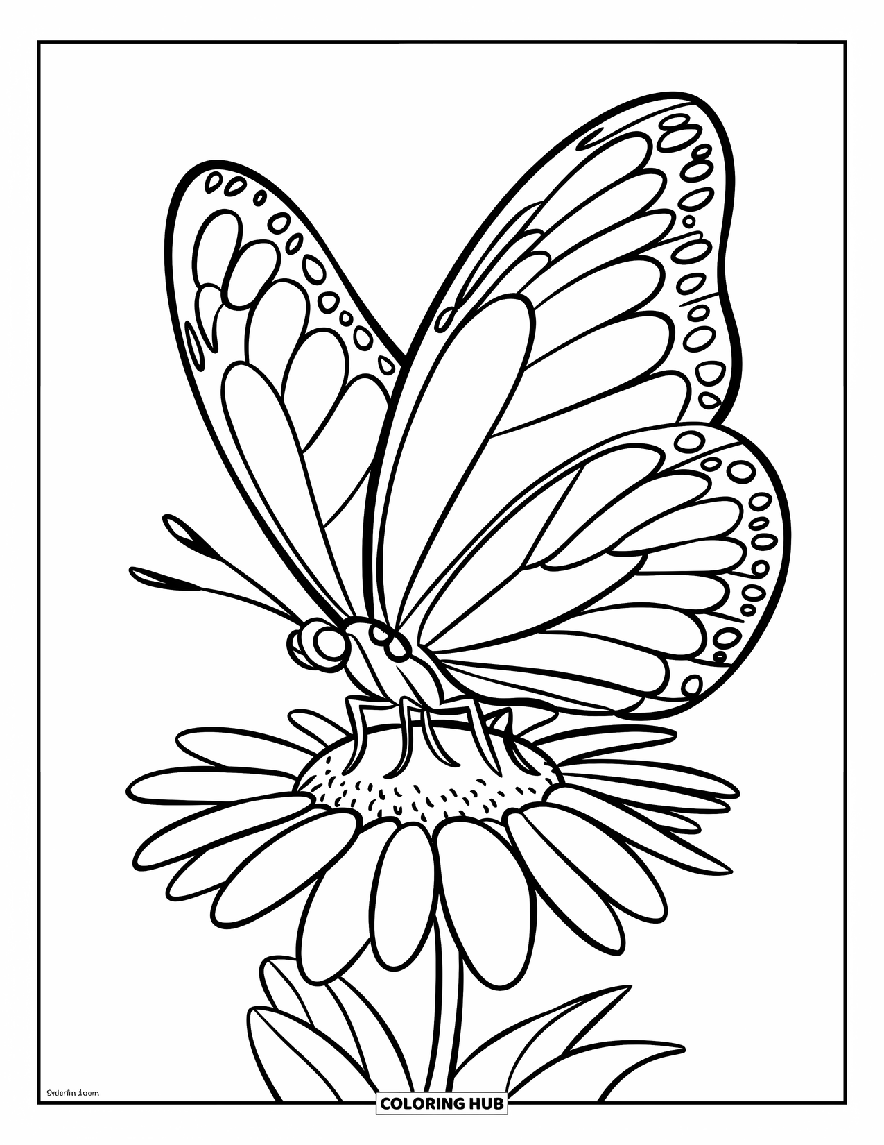 Desenho de Borboleta para Colorir para Crianças: Uma borboleta pousada em uma flor parecida com uma margarida