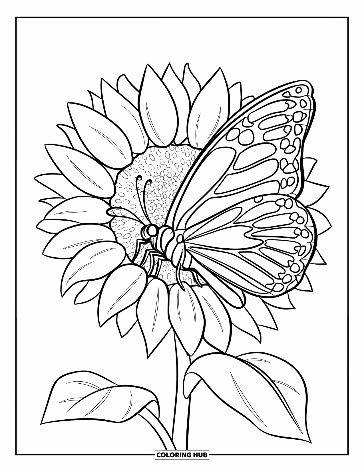 Desenho de Borboleta para Colorir para Crianças: Uma borboleta descansando em um girassol com pétalas detalhadas