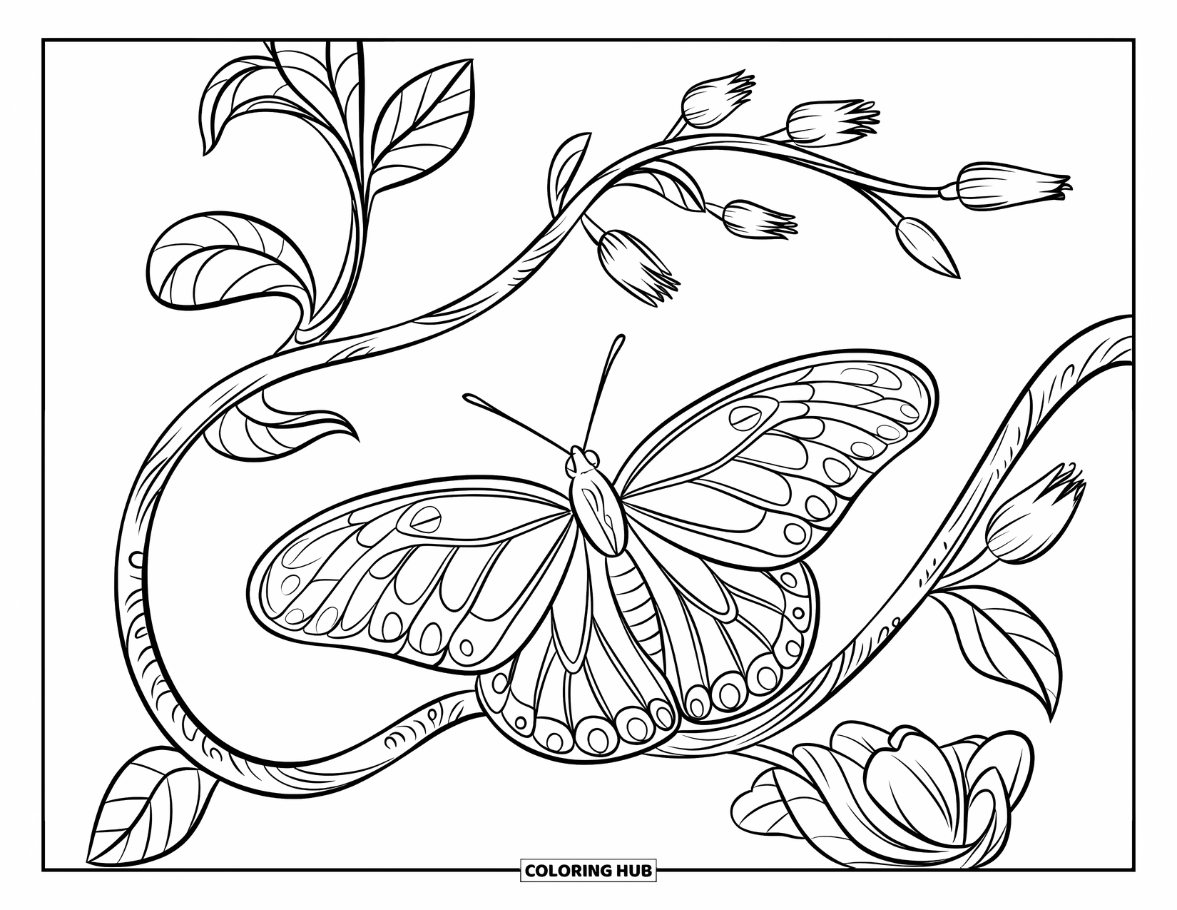 Desenho de Borboleta para Colorir para Crianças: Uma borboleta descansando em uma videira texturizada com botões de flores, cercada por padrões intrincados