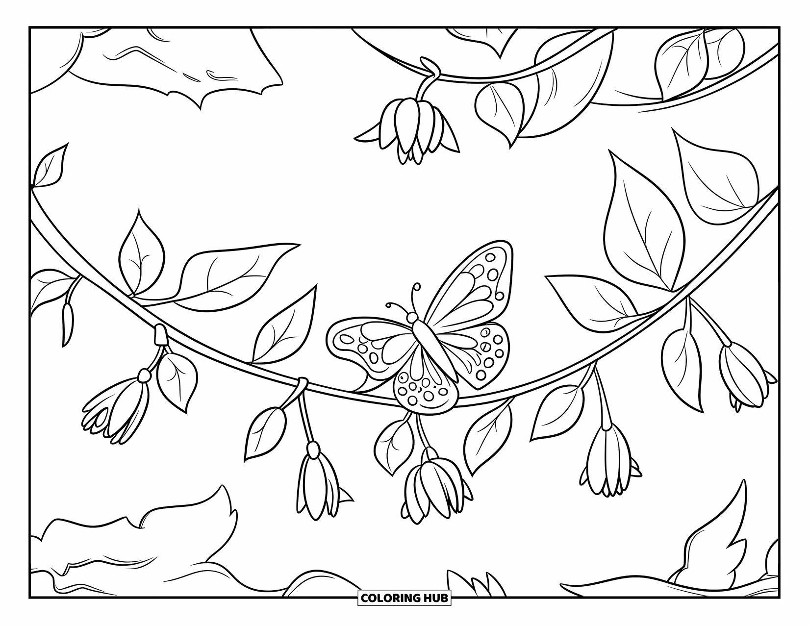 Desenho de Borboleta para Colorir para Crianças: Uma borboleta descansando em uma videira com folhas e botões de flores, enrolada em um galho