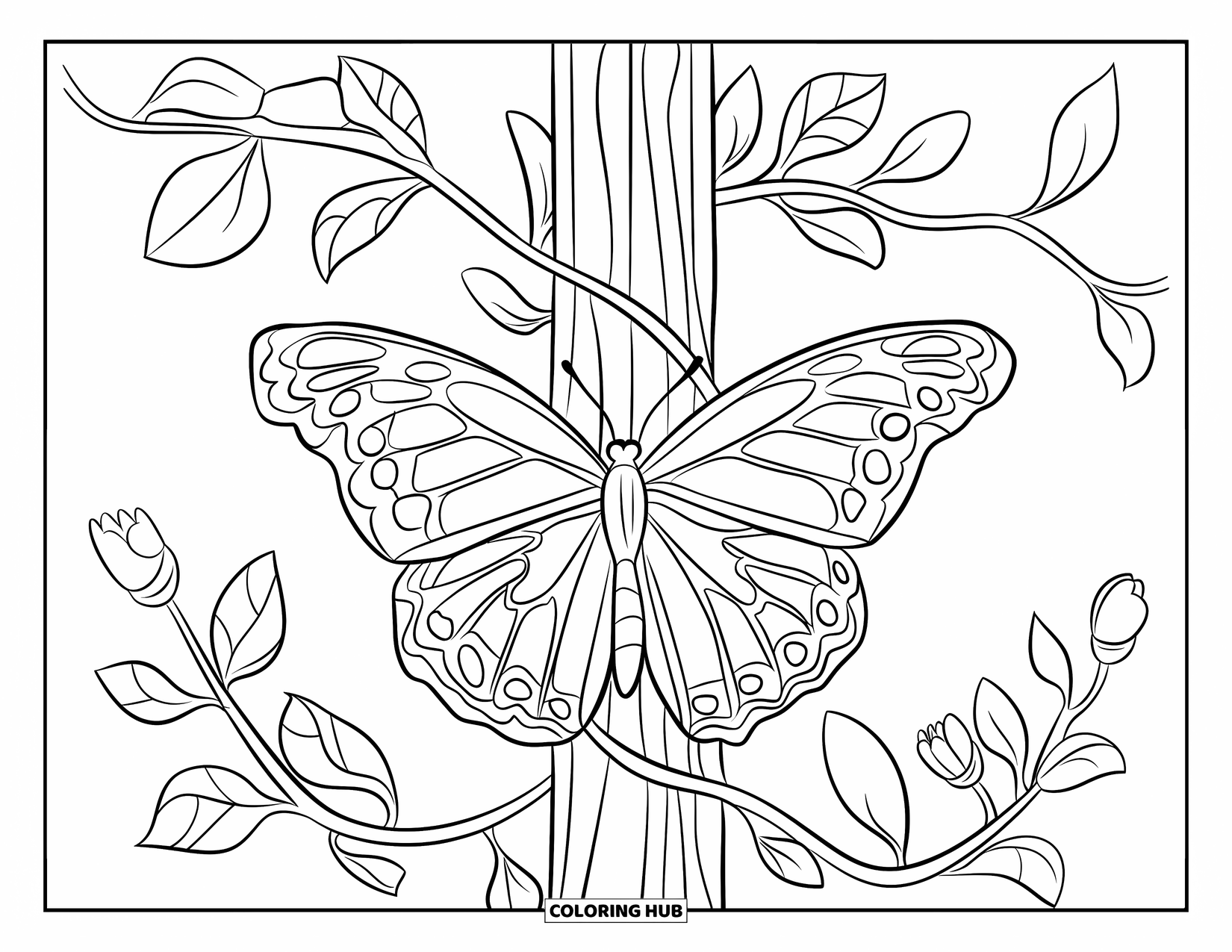 Desenho de Borboleta para Colorir para Crianças: Uma borboleta descansando em uma videira com várias folhas e botões de flores, com um fundo simples