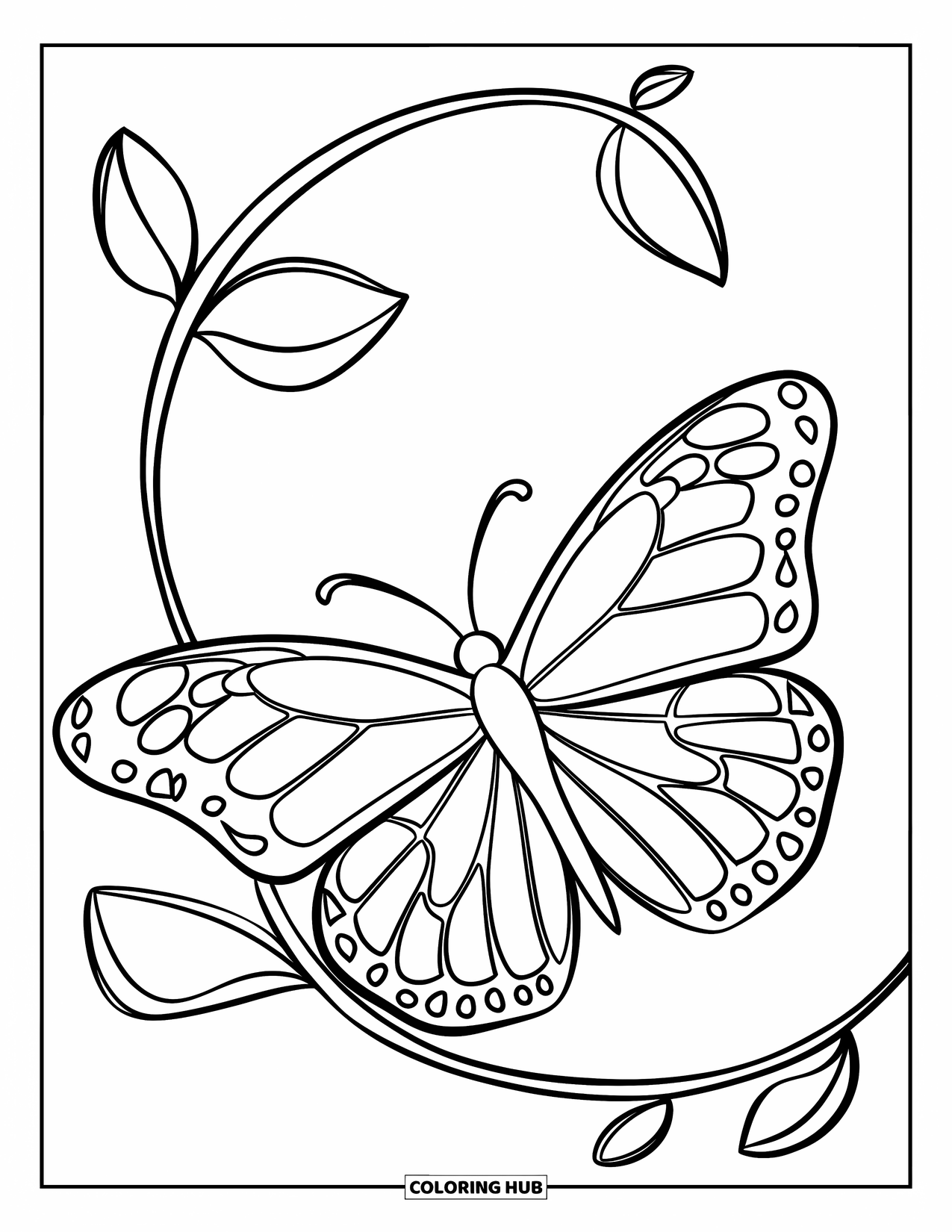Desenho de Borboleta para Colorir para Crianças: Uma borboleta com asas detalhadas descansando em uma videira curva com pequenas folhas