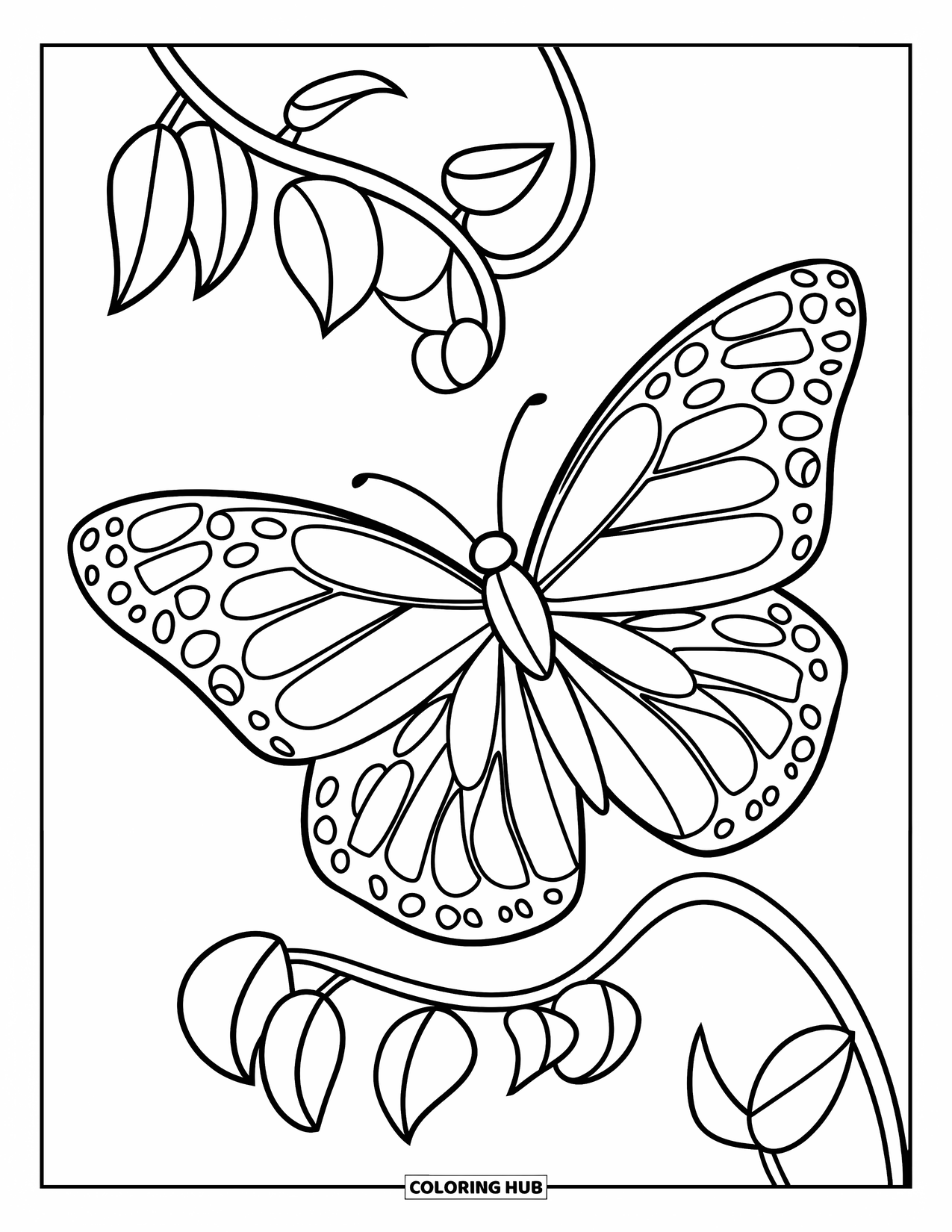 Desenho de Borboleta para Colorir para Crianças: Uma borboleta com asas estampadas descansando em uma videira curva com folhas