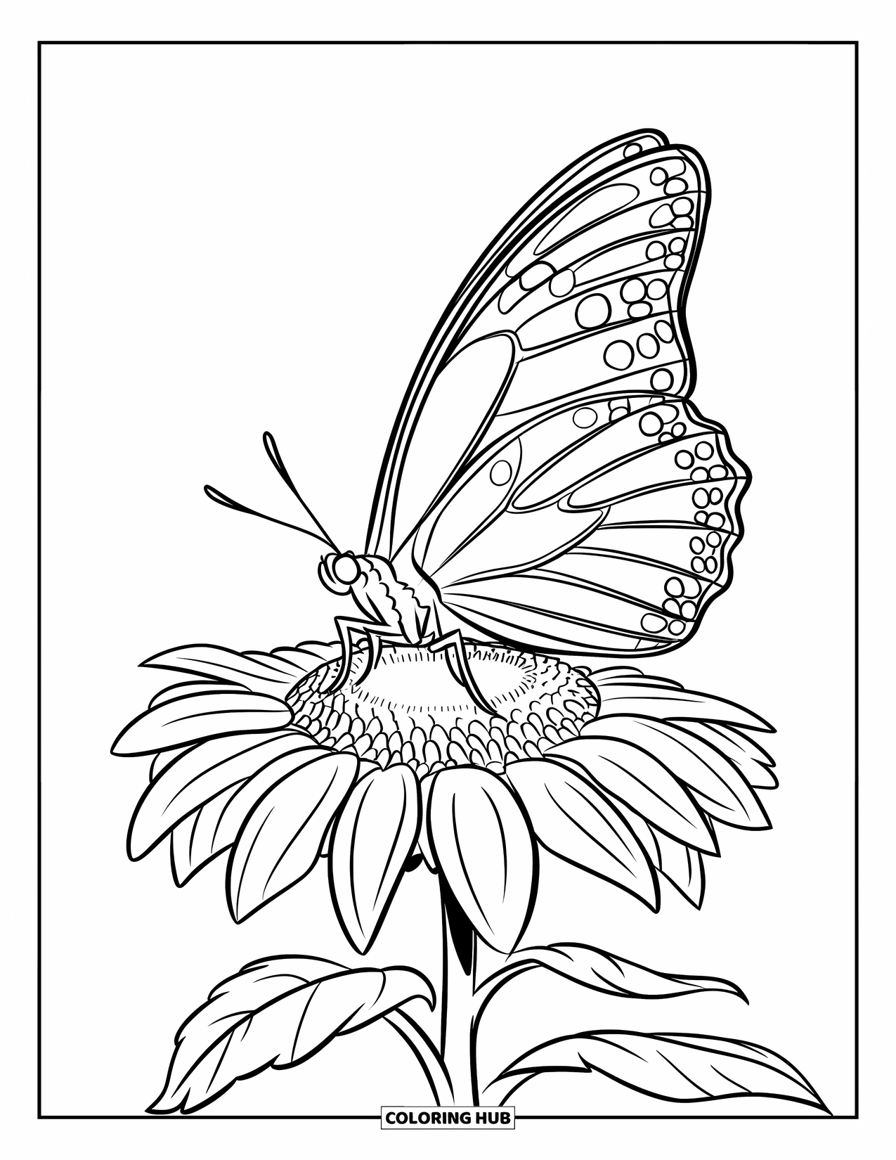 Desenho de Borboleta para Colorir para Crianças: Uma borboleta com asas manchadas descansando em um girassol