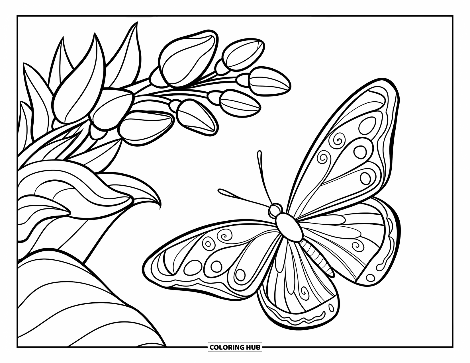 Desenho de Borboleta para Colorir para Crianças: Uma borboleta com asas em espiral voando ao lado de folhas e botões de flores
