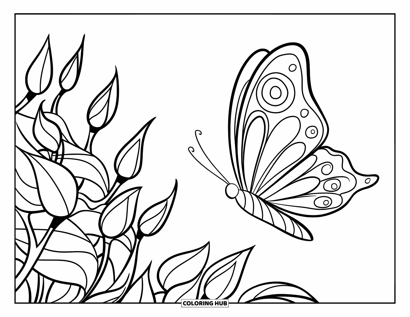 Desenho de Borboleta para Colorir para Crianças: Uma borboleta com asas em espiral perto de um conjunto de folhas e botões