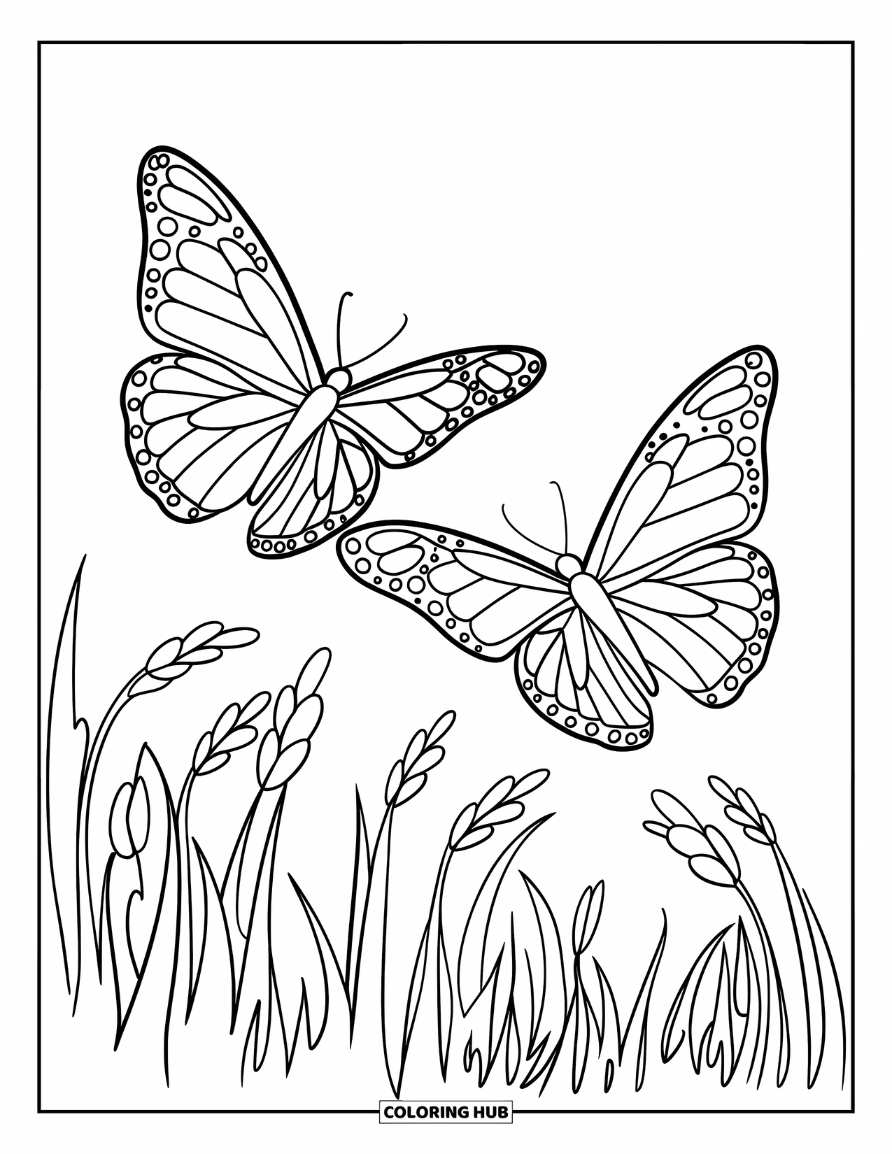 Desenho de Borboleta para Colorir para Crianças: Duas borboletas voando acima de grama alta, com linhas marcantes e limpas e um design simples