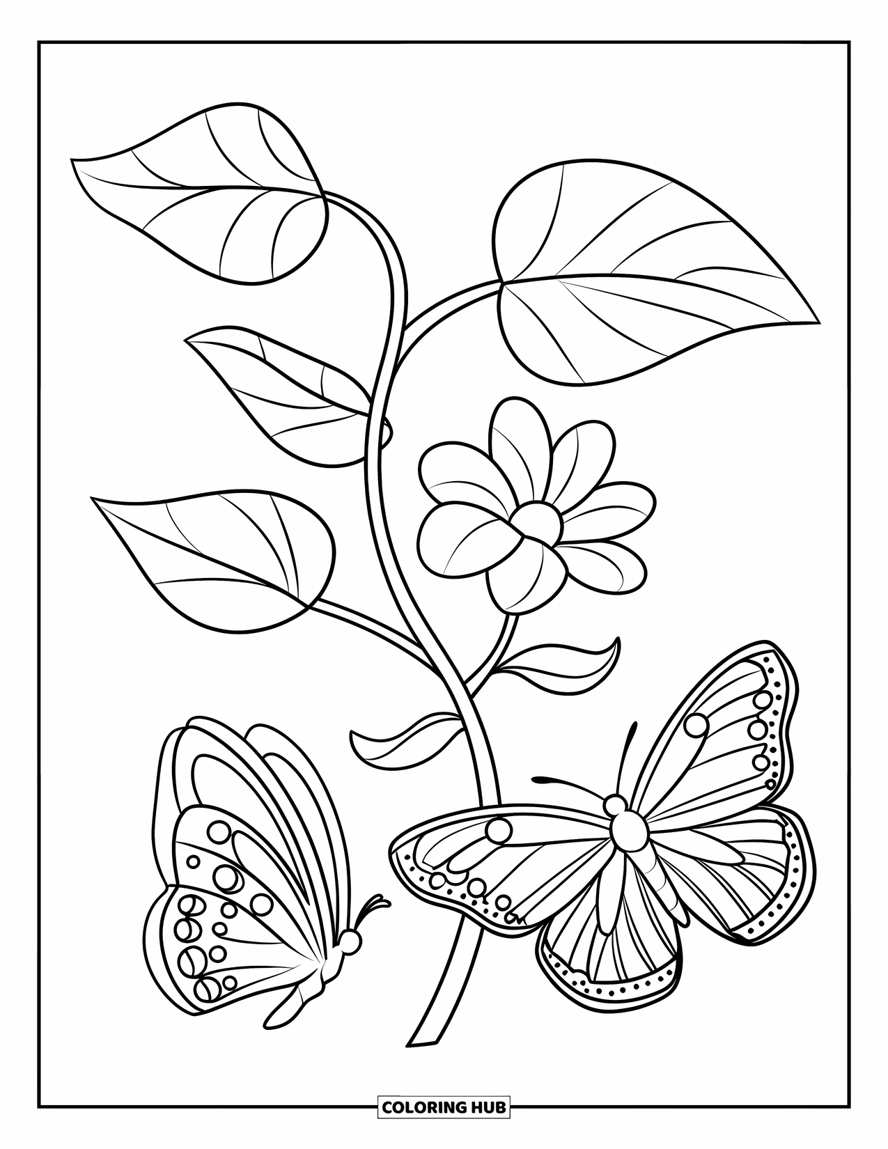 Desenho de Borboleta para Colorir para Crianças: Duas borboletas perto de uma videira com quatro folhas e uma flor