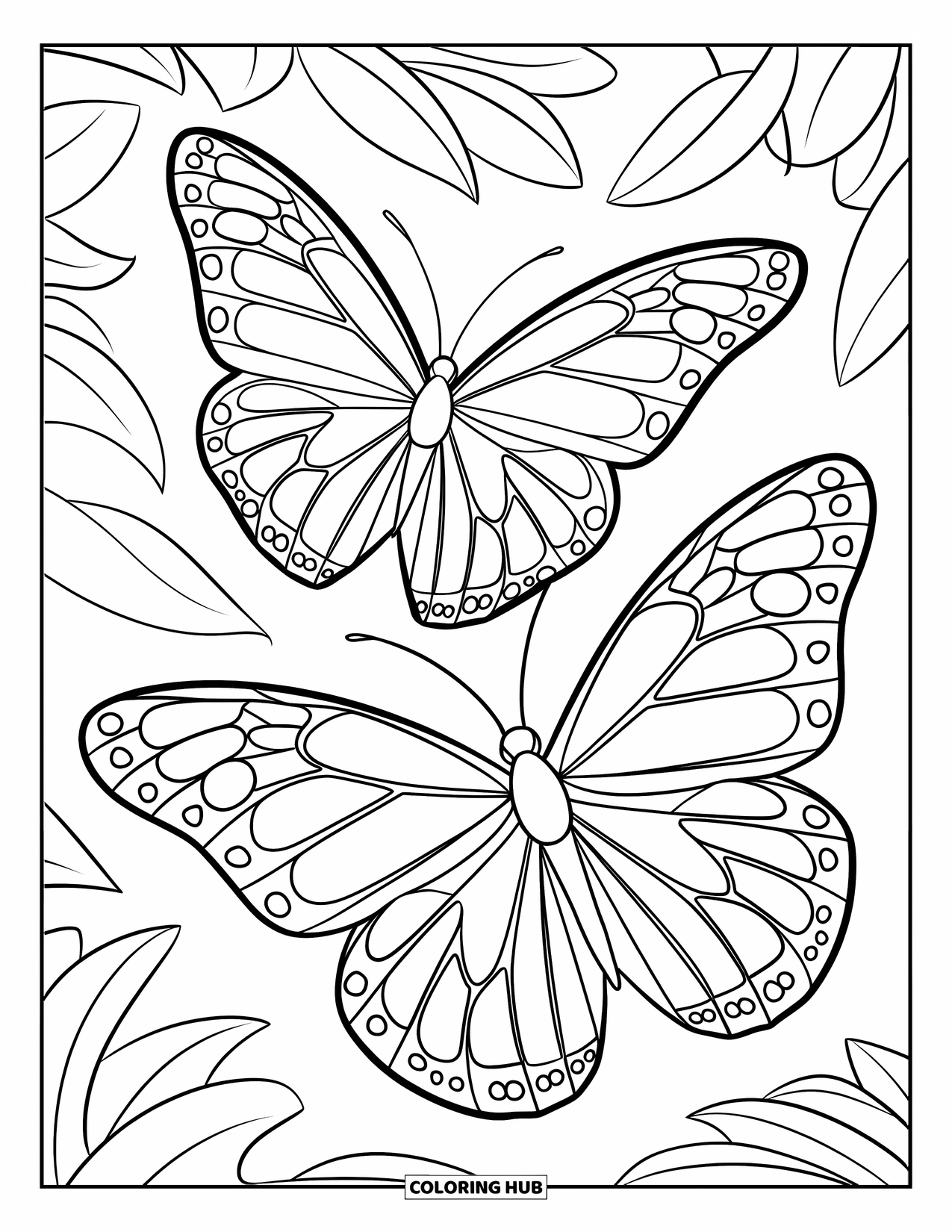 Desenho de Borboleta para Colorir para Crianças: Duas borboletas com asas detalhadas voando entre contornos de folhas