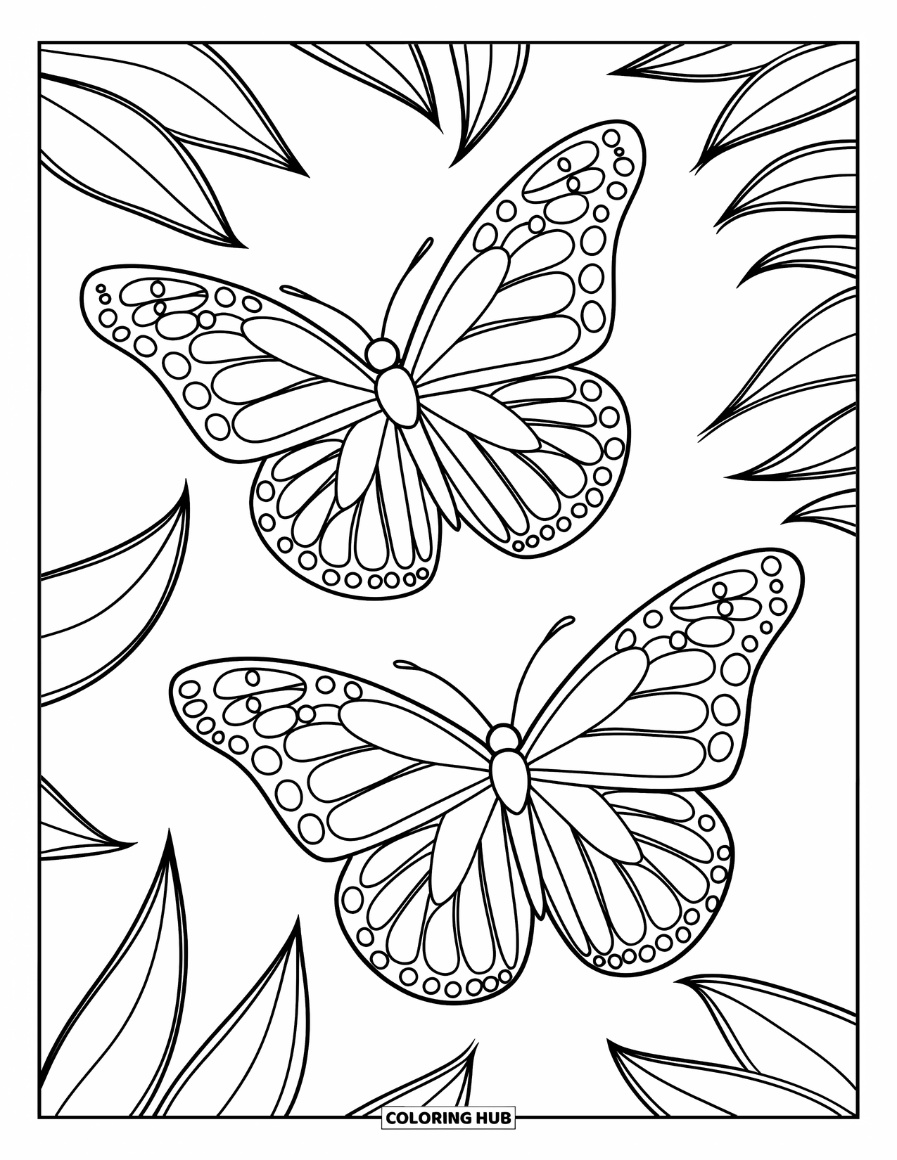 Desenho de Borboleta para Colorir para Crianças: Duas borboletas com padrões de asas intrincados cercadas por contornos de folhas