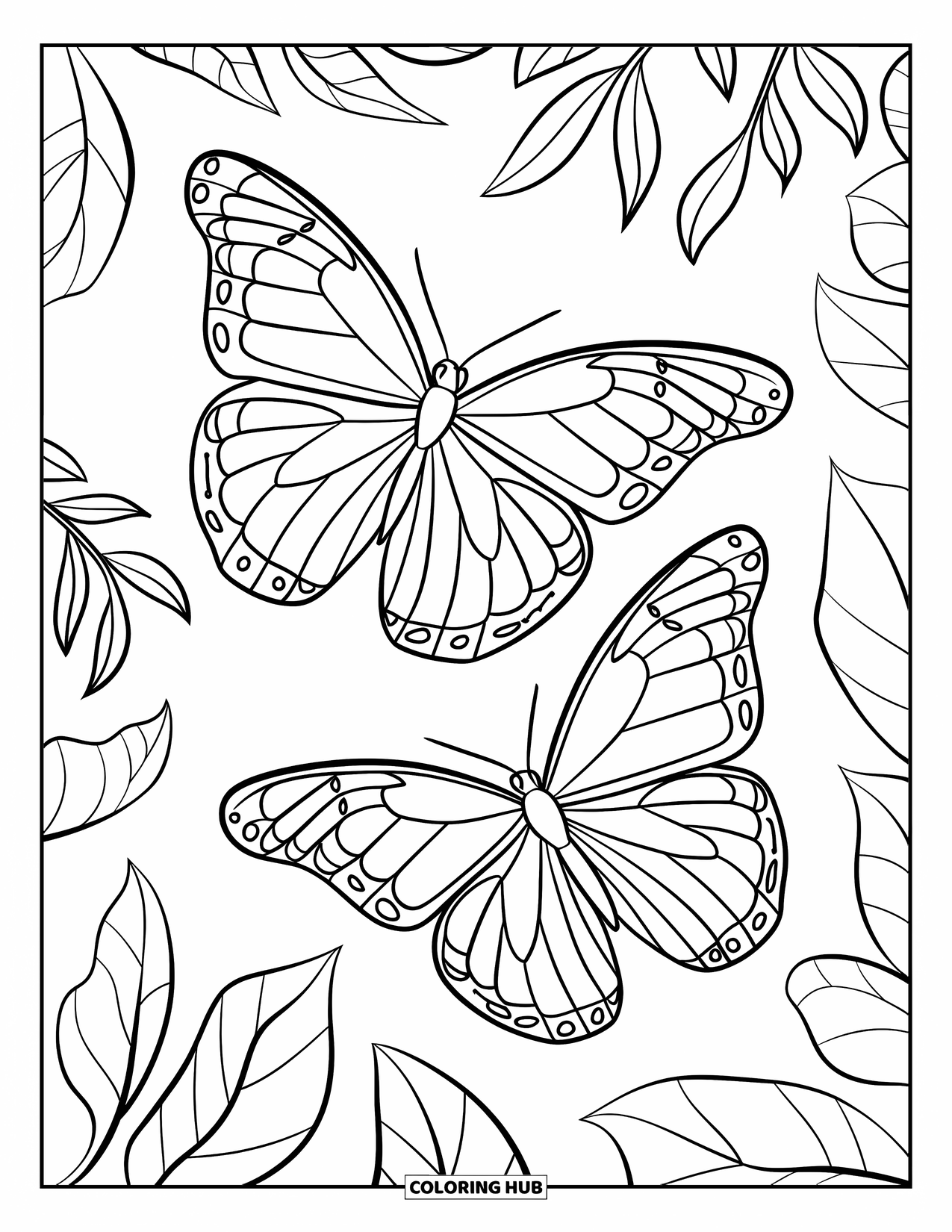 Desenho de Borboleta para Colorir para Crianças: Duas borboletas com asas estampadas voando ao redor de folhas contornadas