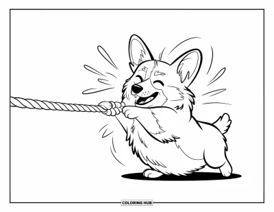 Coloriage de corgi pour adultes : Un corgi tire joyeusement sur un jouet en corde, avec des lignes de mouvement montrant l’énergie du jeu