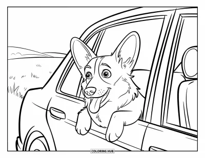 Coloriage de corgi pour enfants : Un corgi sort la tête par la fenêtre d’une voiture, les oreilles flottant au vent