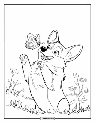 Coloriage de corgi pour enfants : Un corgi regarde un papillon se poser sur son nez dans un champ luxuriant de fleurs sauvages