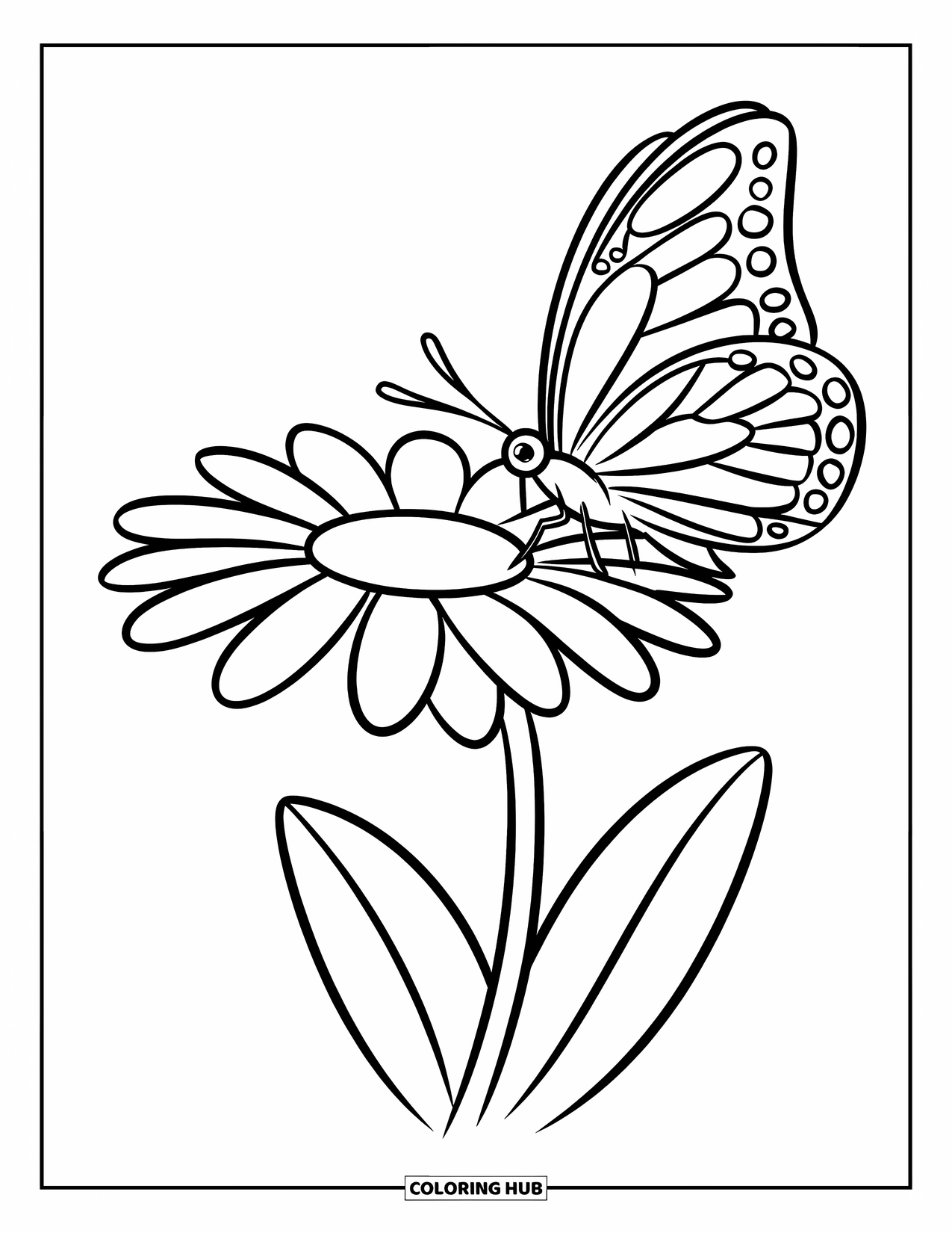 Daisy Coloring Page for Kids: A bold daisy with a butterfly resting on a petal