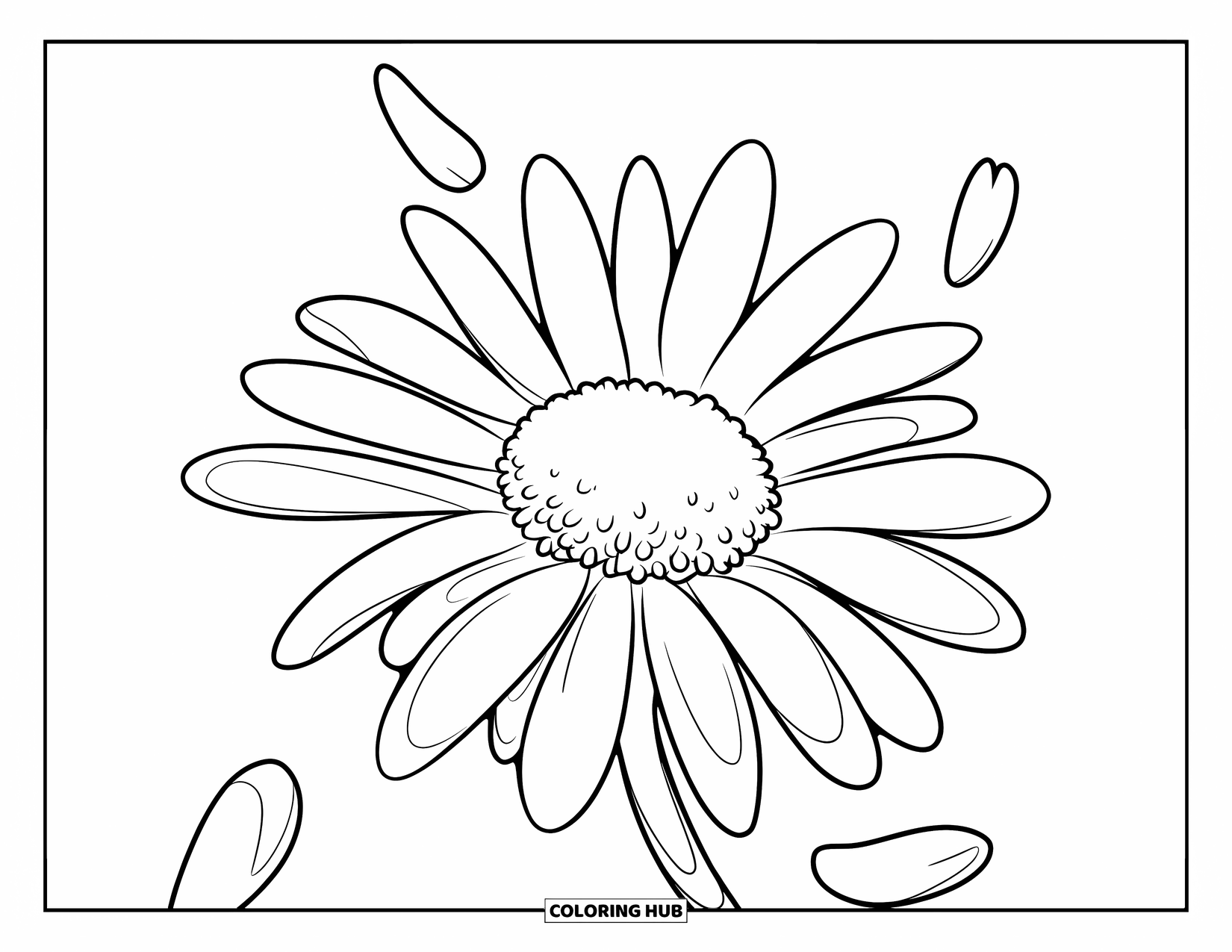 Daisy Coloring Page for Kids: A close-up of a daisy with falling petals