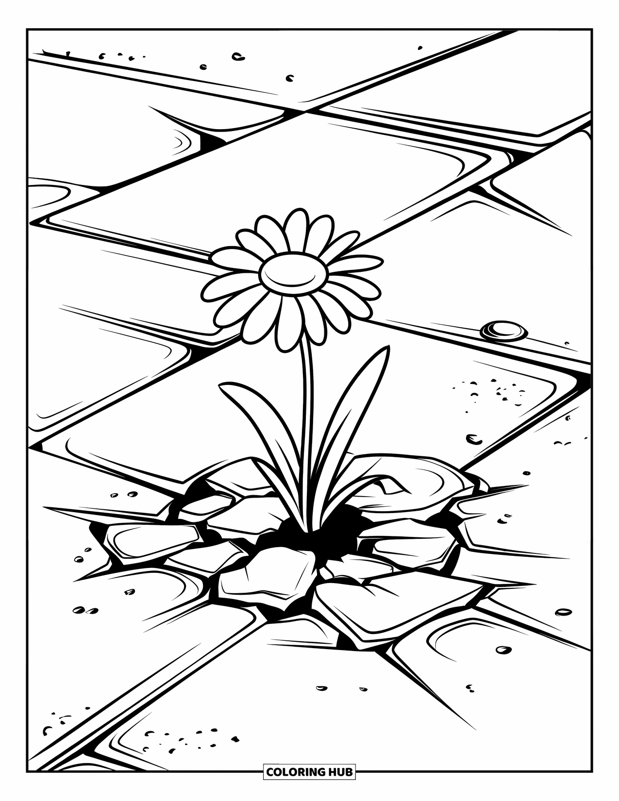 Daisy Coloring Page for Kids: A daisy growing from cracked pavement, with patterns in the cracked pavement and a white background