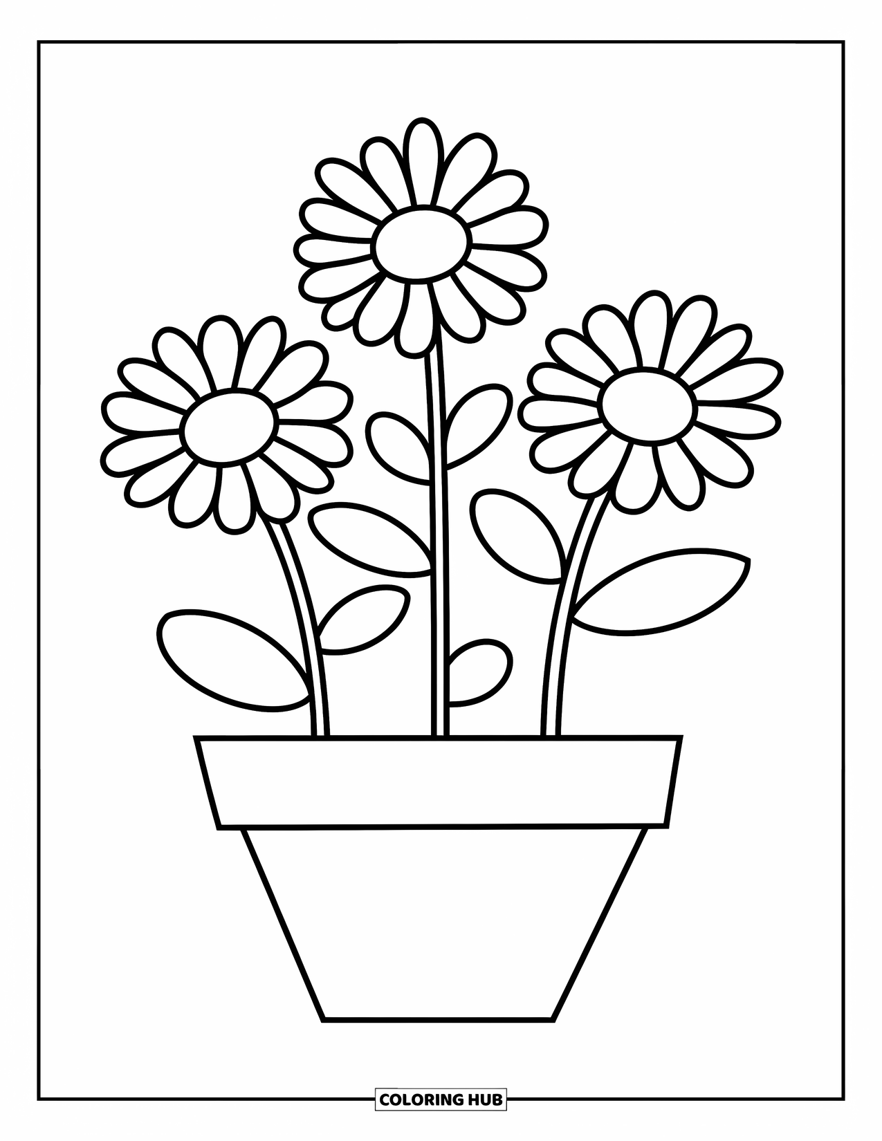 Daisy Coloring Page for Kids: A daisy in a flower pot, ready to bloom