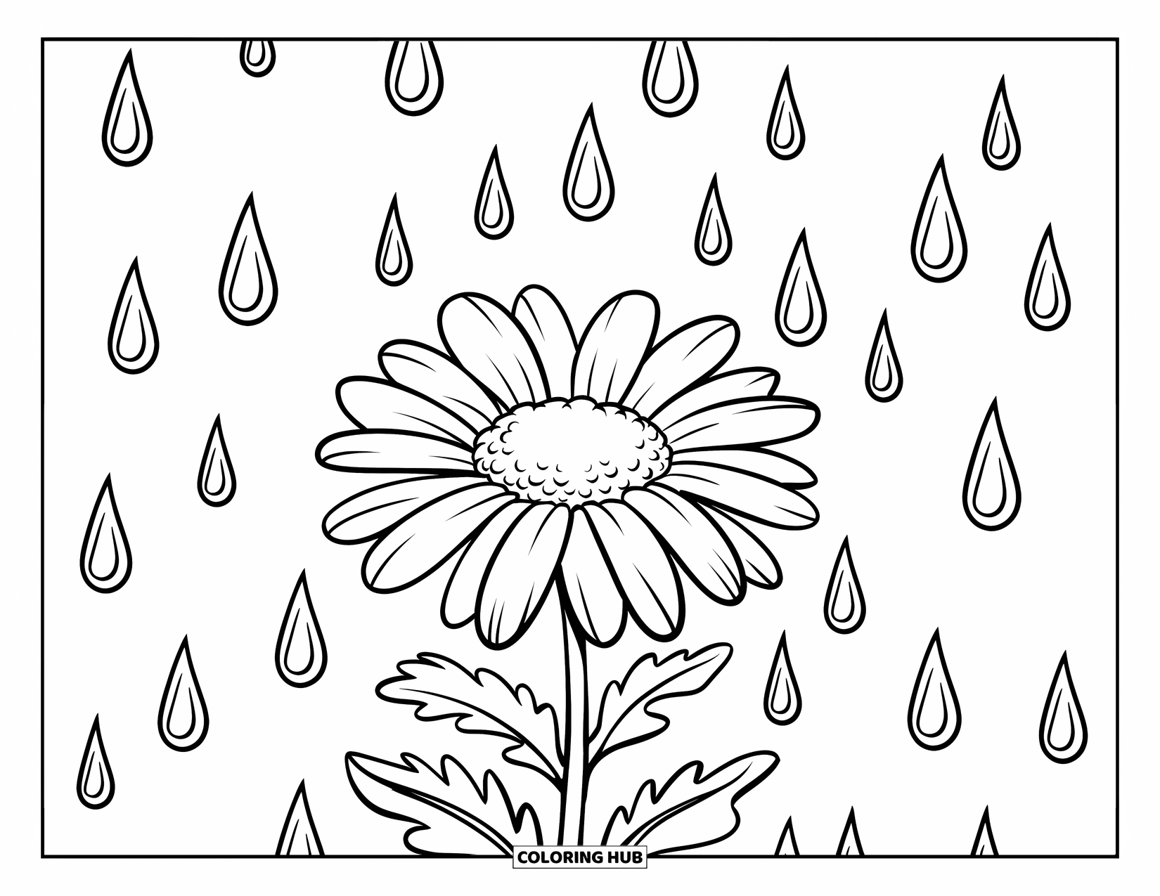 Daisy Coloring Page for Kids: A daisy with raindrops falling around it, with clear, curved lines and a white background