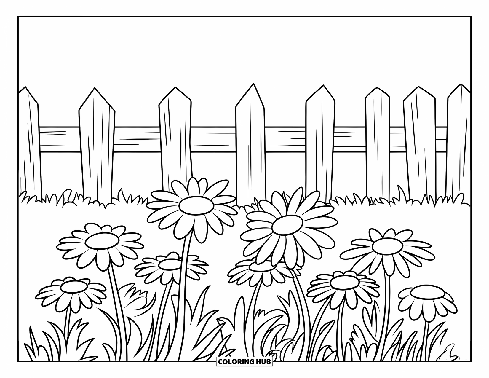 Daisy Coloring Page for Kids: A field of daisies with a weathered wooden fence and a clear sky, suitable for coloring