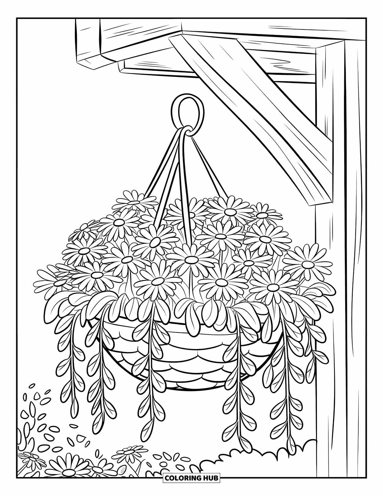 Daisy Coloring Page for Kids: A hanging basket filled with daisies, draped with leaves, and surrounded by a clean background