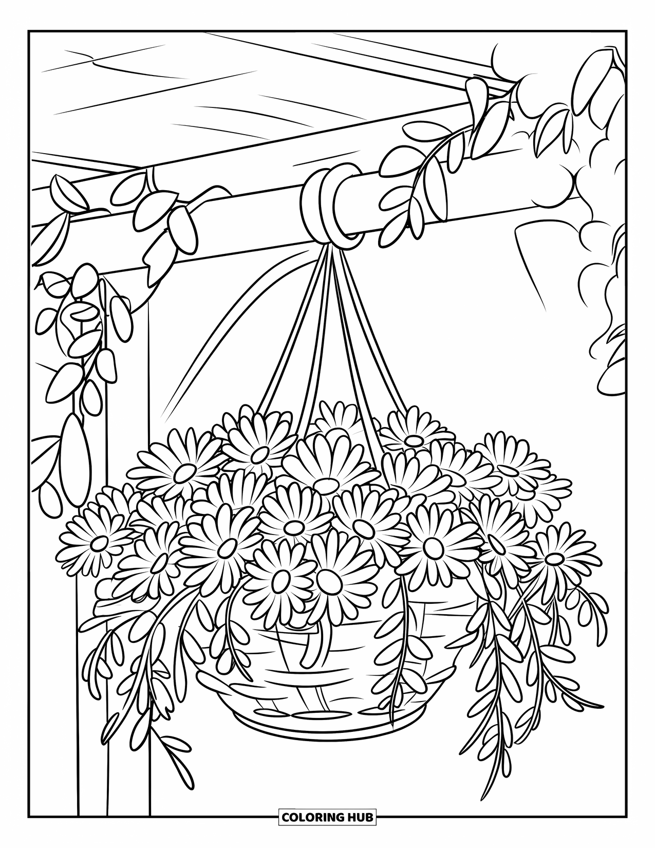Daisy Coloring Page for Kids: A hanging basket filled with daisies, hanging from a wooden support with draping leaves