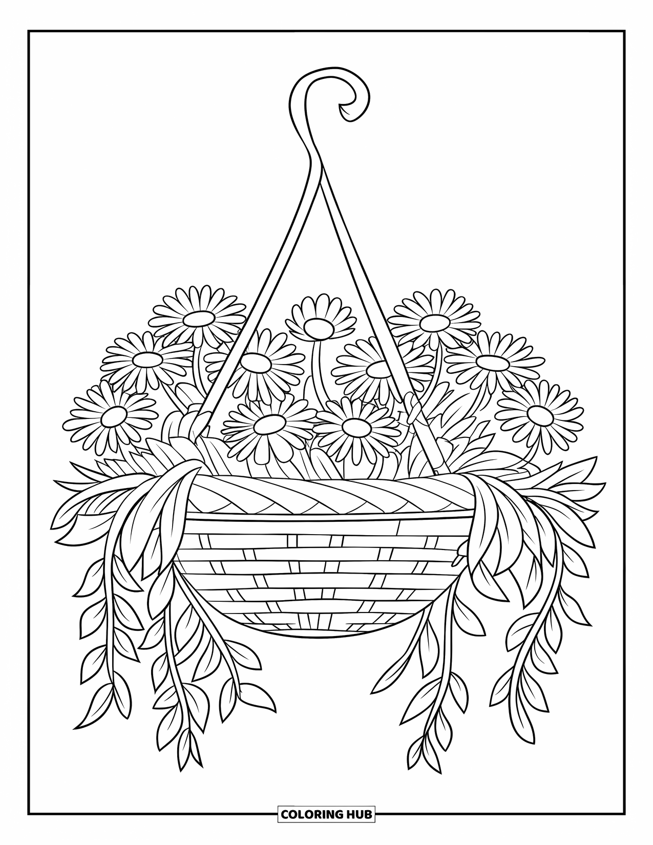 Daisy Coloring Page for Kids: A hanging basket filled with daisies with yellow centers and white petals
