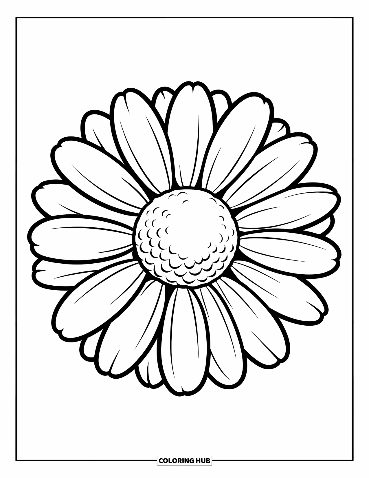Daisy Coloring Page for Kids: A simple, bold daisy with thick petals and a round center