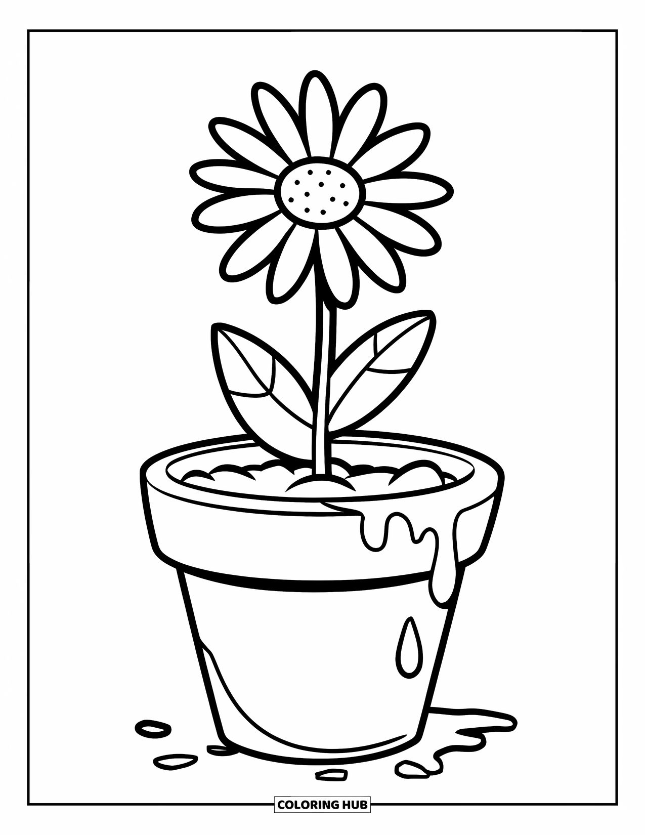 Daisy Coloring Page for Kids: A single daisy in a flower pot with a few drips of water