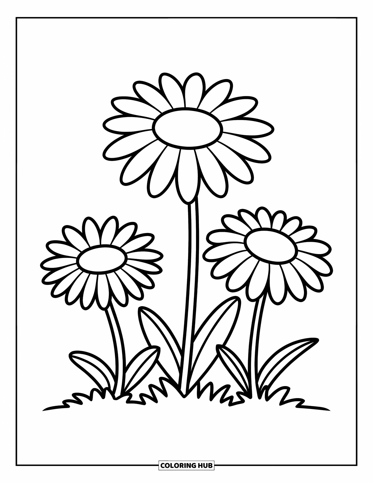 Daisy Coloring Page for Kids: Three daisies growing from the ground, each in a different blooming stage, with bold outlines
