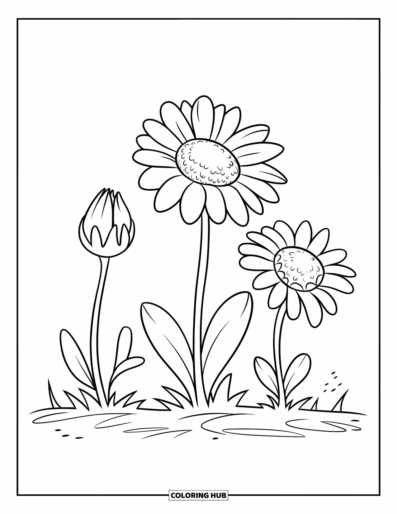 Daisy Coloring Page for Kids: Three daisies in different blooming stages, with yellow centers and soft curving lines