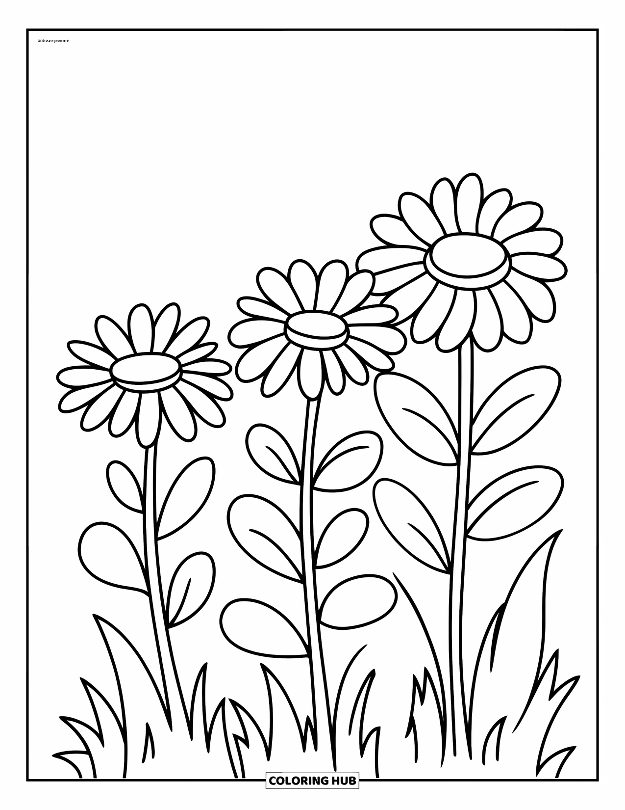 Daisy Coloring Page for Kids: Three playful daisies grow side by side