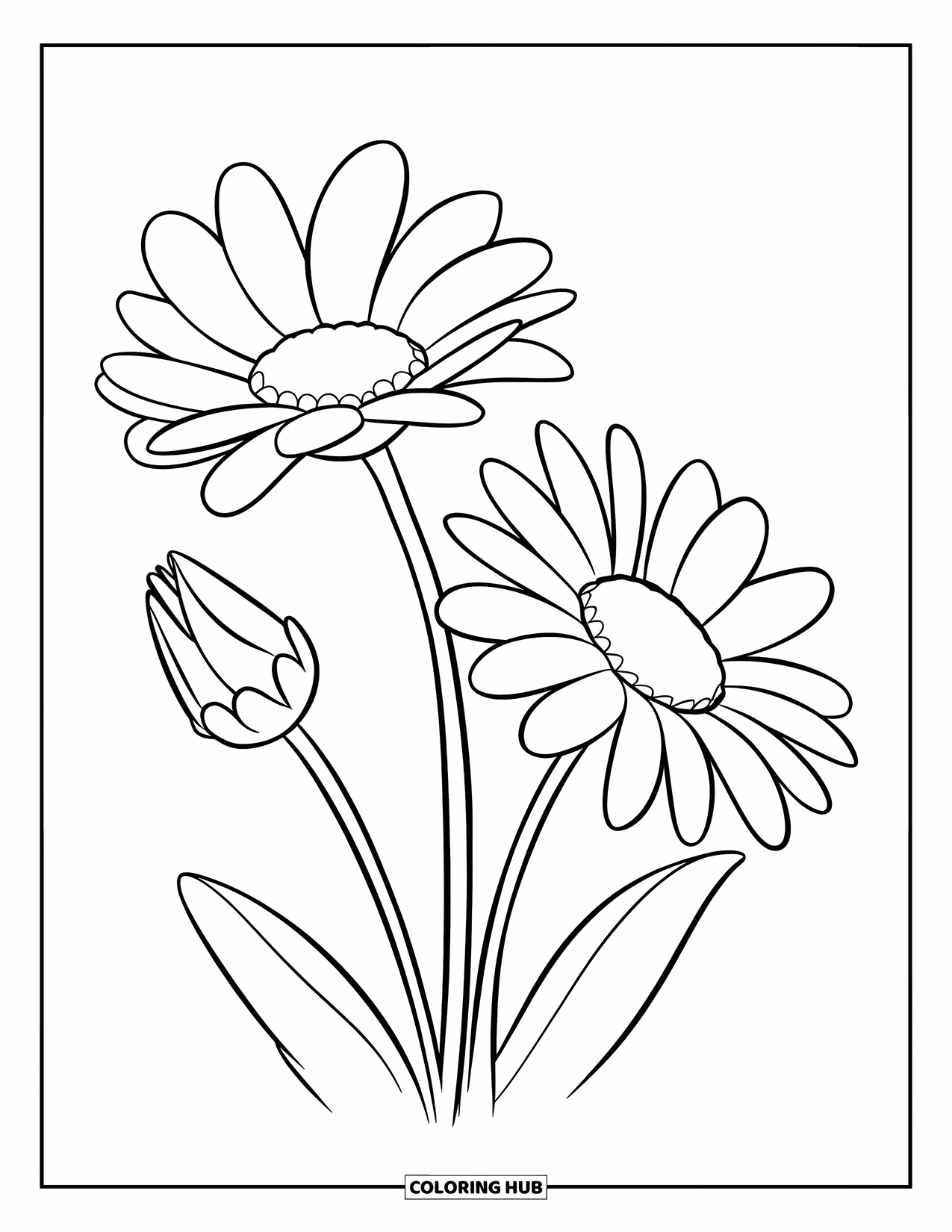 Daisy Coloring Page for Kids: Two daisies, one fully bloomed and the other partially closed, with detailed, dynamic petals