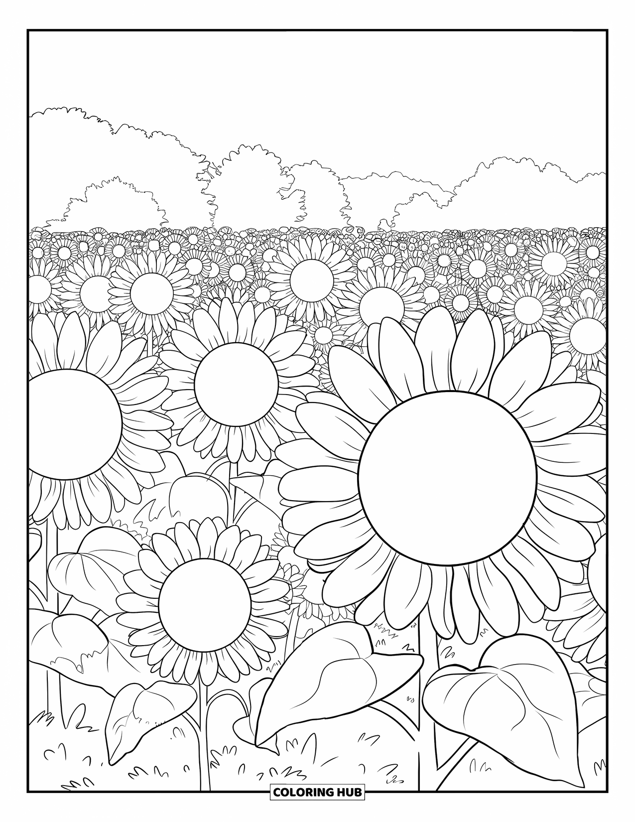 Floral Coloring Page for Adults: A sunflower field with large flowers and trees in the background