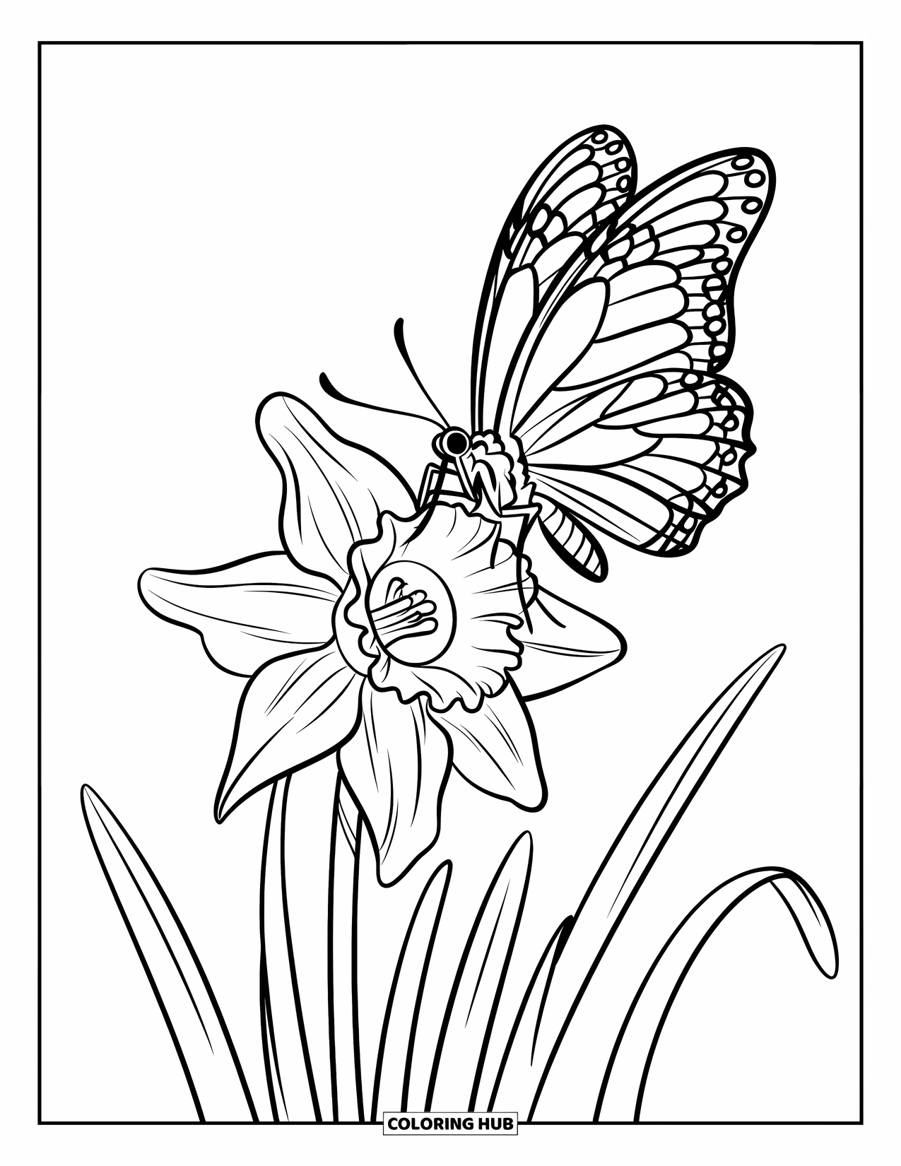 Floral Coloring Page for Kids: A butterfly landing on a big daffodil with wide, curved petals