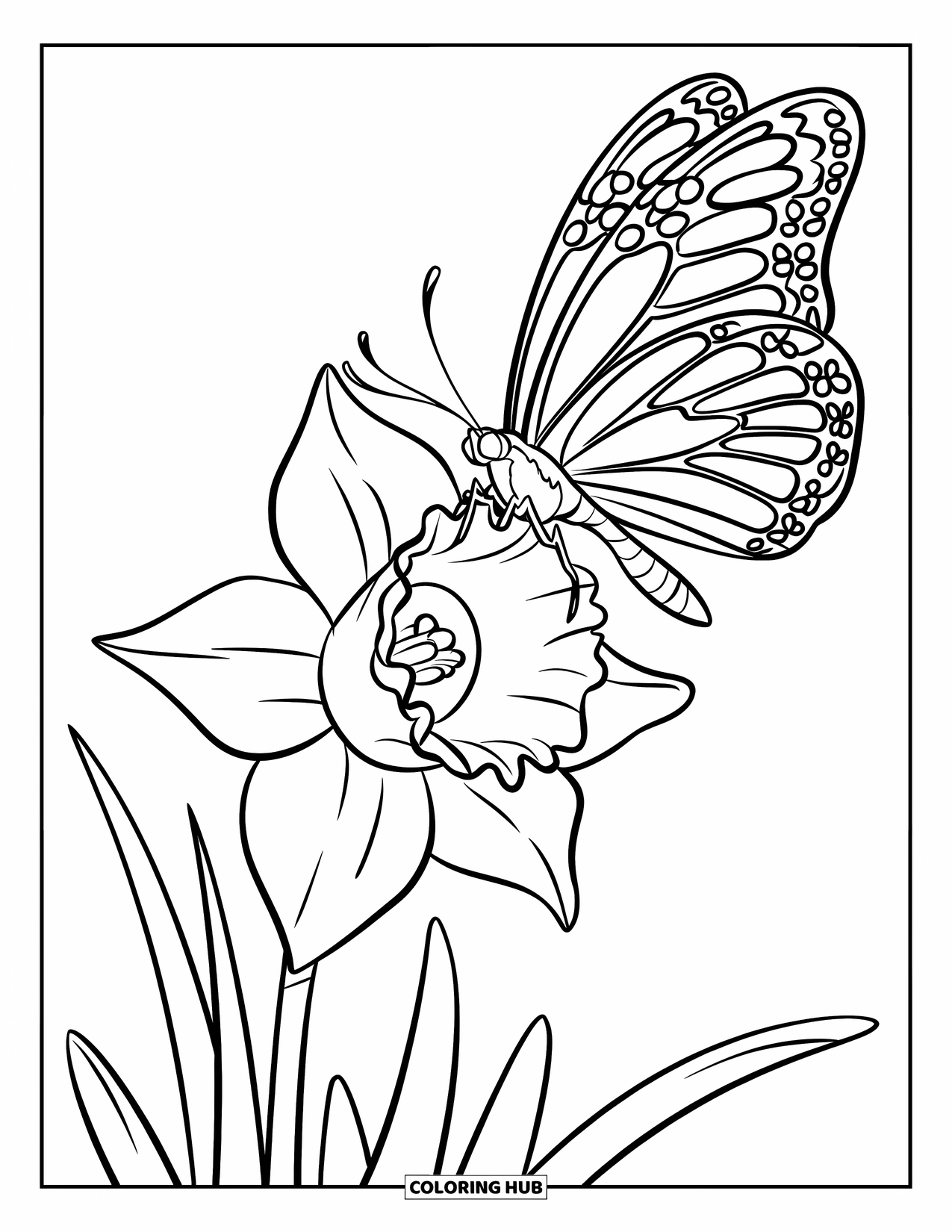 Floral Coloring Page for Kids: A butterfly with colorful patterns resting on a daffodil