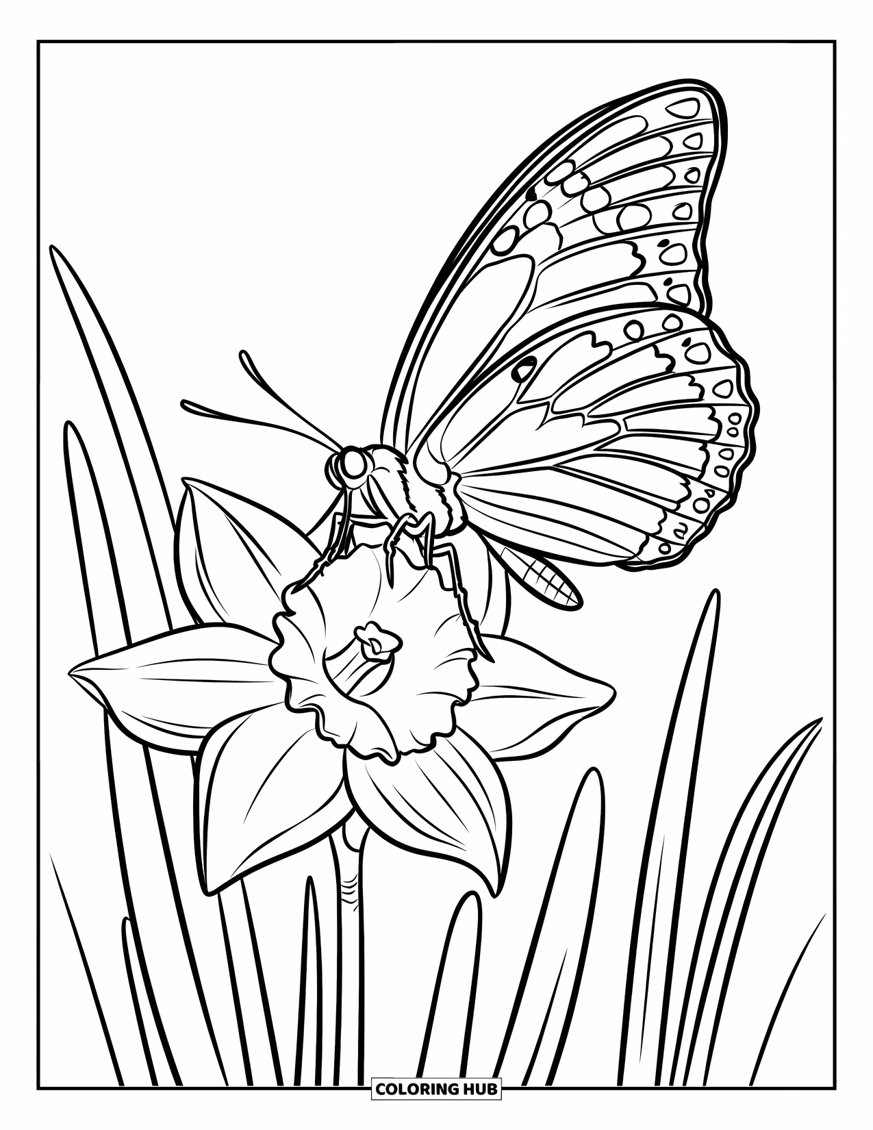 Floral Coloring Page for Kids: A butterfly with intricate wings landing on a daffodil with a bright center