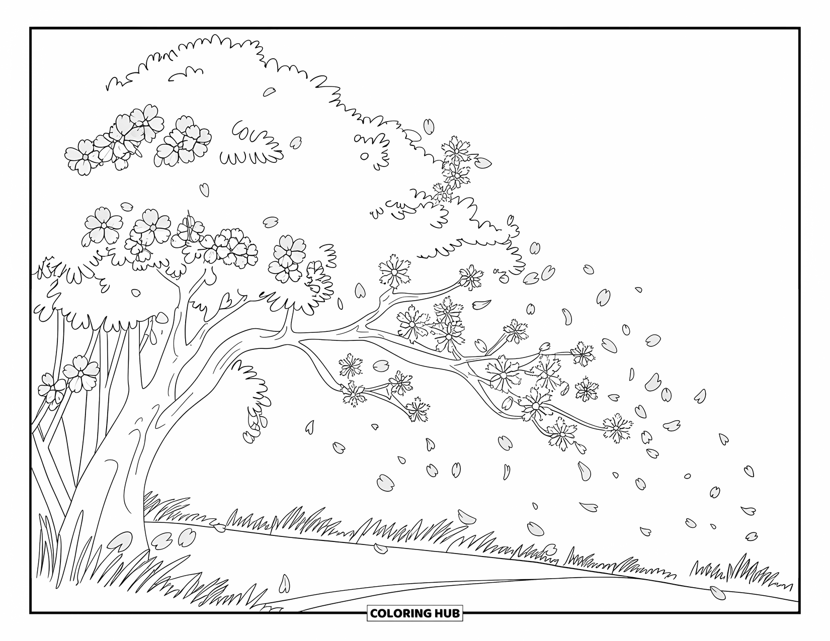 Floral Coloring Page for Kids: A cherry blossom tree with a path below, set against a clear sky