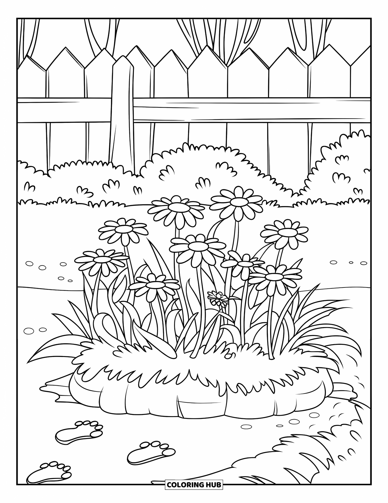 Floral Coloring Page for Kids: A garden bed with daisies on a dirt patch, leading to footprints