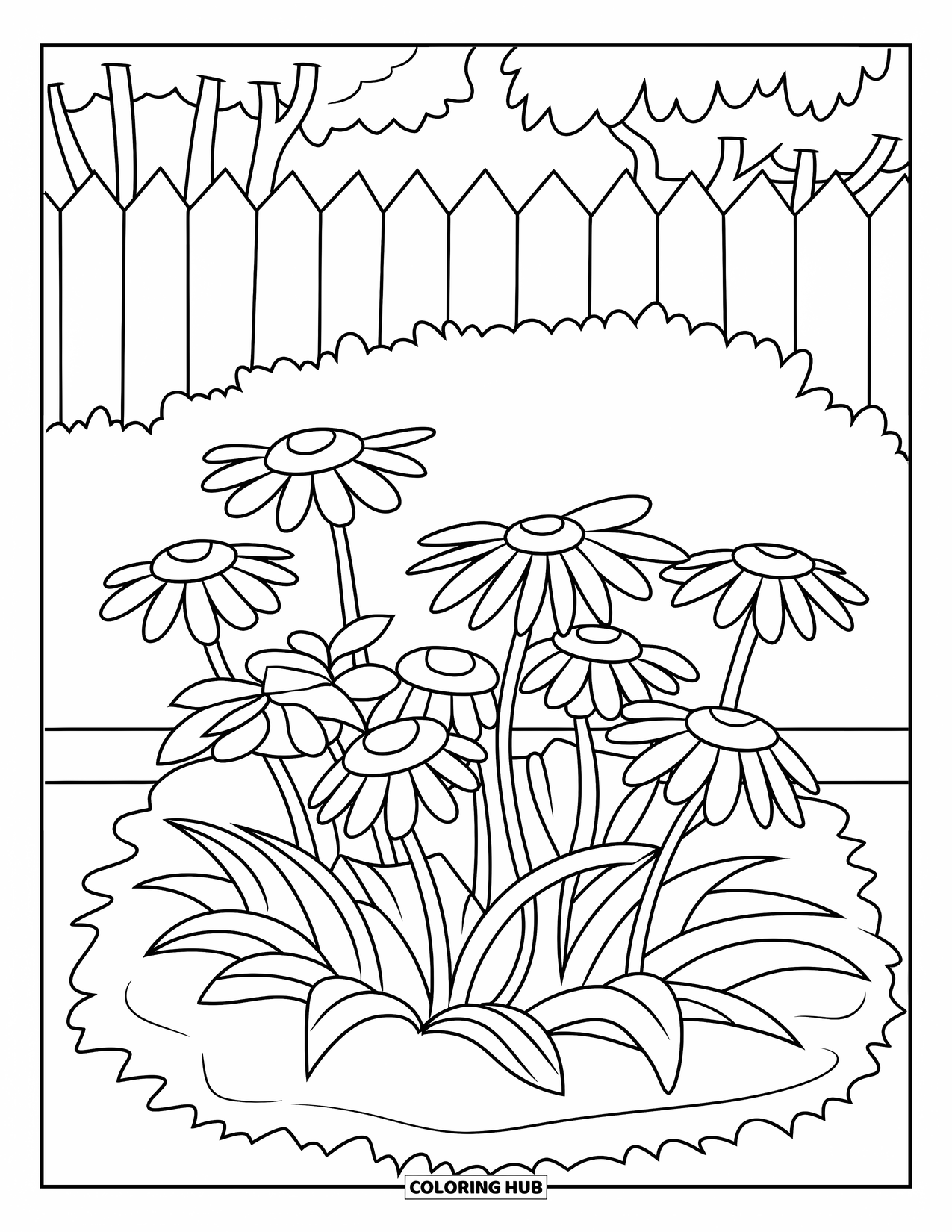 Floral Coloring Page for Kids: A group of daisies growing in a garden bed with soft, wavy grass