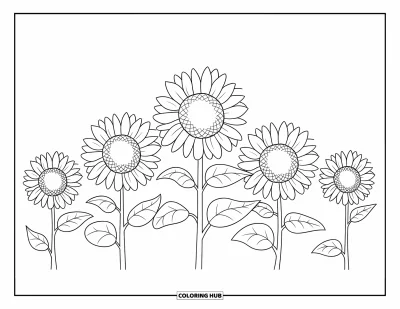 Blomstertegning til børn: En række af fem solsikker med tydelige, kraftige konturer
