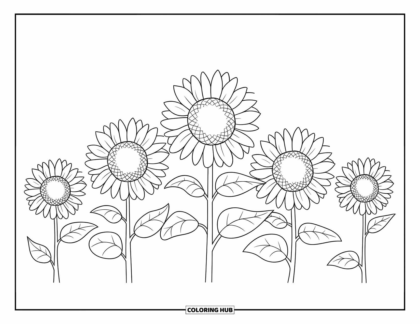 Floral Coloring Page for Kids: A row of five sunflowers with clean, bold outlines