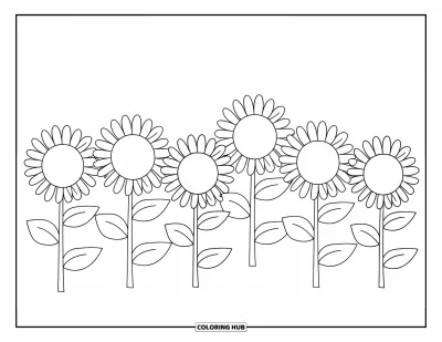 Blomstertegning til børn: En række solsikker med store kronblade og grønne blade, tegnet til de mindste